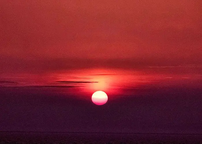 Svanerne "snakker" i vandkanten... De letter 2 eller 3 ad gangen... Solopgang ved Limfjorden... TAK Foto © Else Pia