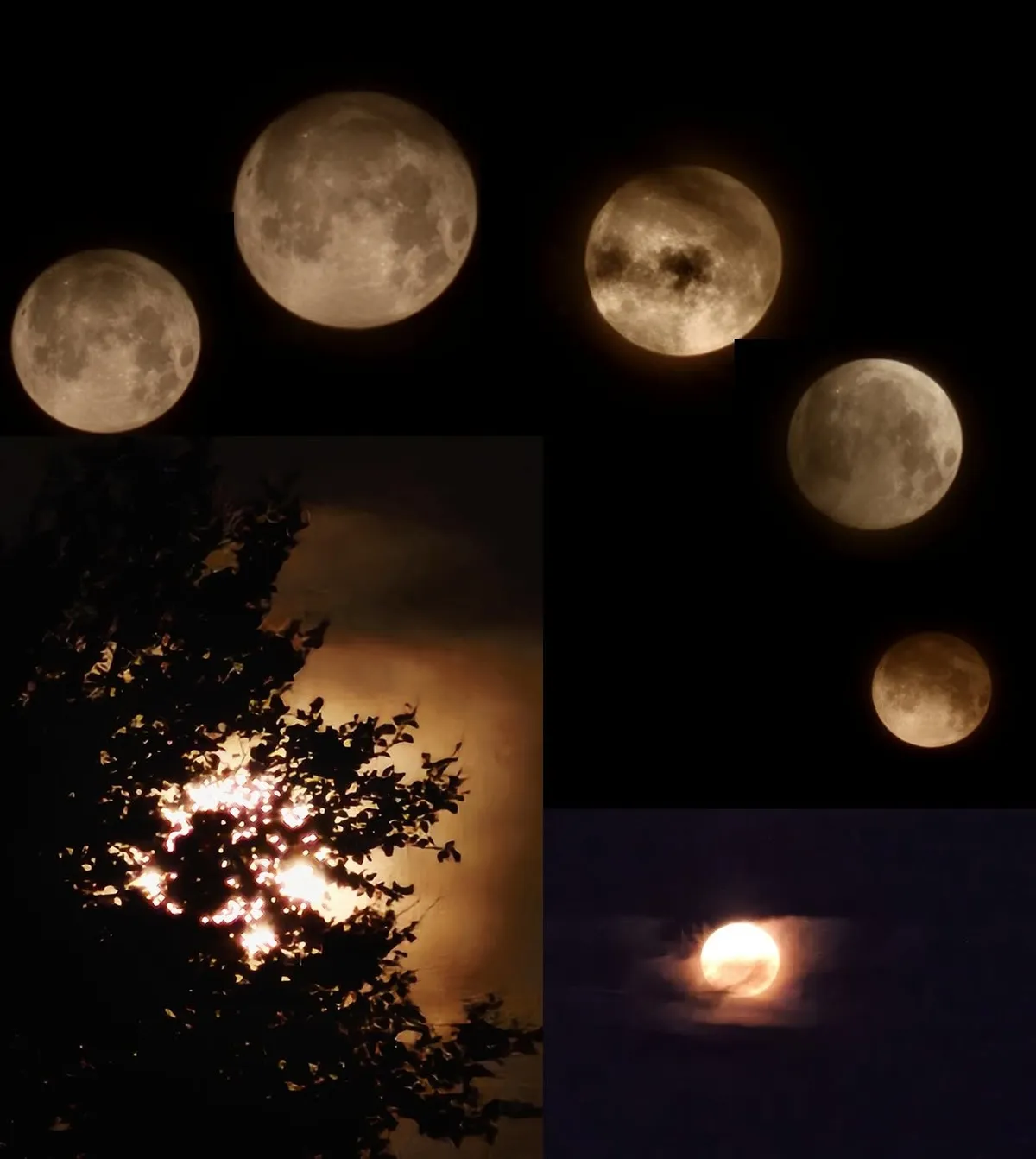 Månen lyser natten op... Farverne stråler... 29 07 26... Energien... 🤍🪽 TAK Foto collage © Else Pia