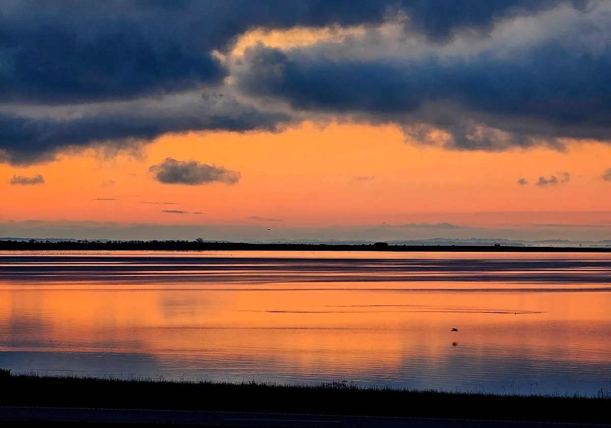 God hjertelig morgen fra Dråby Vig... Hejren på vej - morgentur... Stilheden... Tak Foto © Else Pia