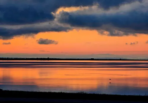 God hjertelig morgen fra Dråby Vig... Hejren på vej - morgentur... Stilheden... Tak Foto © Else Pia