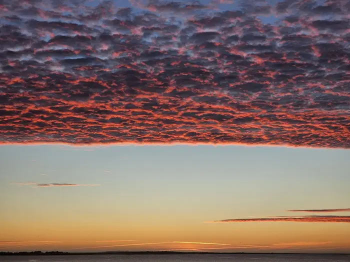Morgentur til Dråby Vig i dag... Jeg holder af livet ved Limfjorden... Holder af livet med kunsten... Tiden i mit Atelier...  TAK Foto © Else Pia