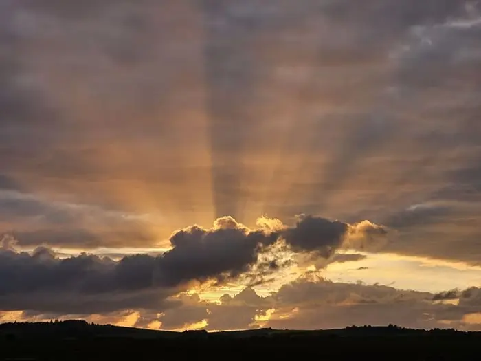 Solens stråler forbinder himmel & jord...  Lyset giver liv til planter og ord...  Af hjertet tak for dagen... TAK  Foto © Else Pia